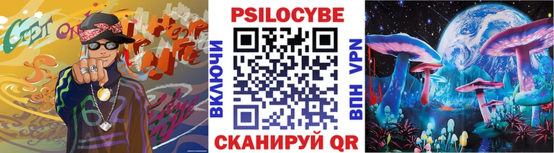 Псилоцибиновые грибы Psilocybe  наркота  Кедровый 